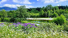 Banner Kurparkführungen