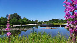 Banner GEH-MEDITATION im Park