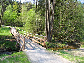 Banner Waldbaden im Park – Energie tanken bei einem Frühlingswaldbad